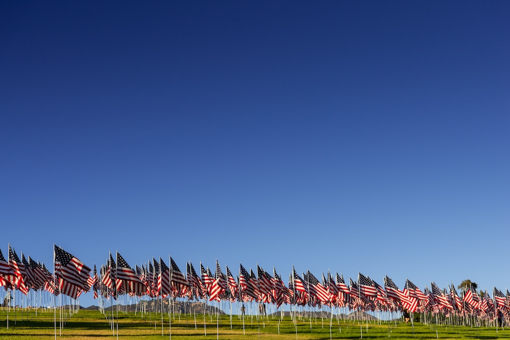 A large group of American flags. 