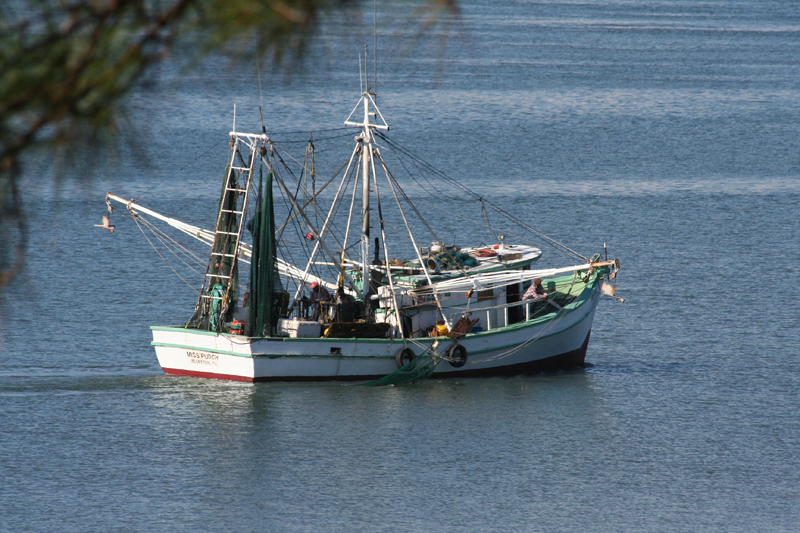 Fishing Boat in Hilton Head, SC