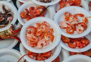 shrimp and seafood