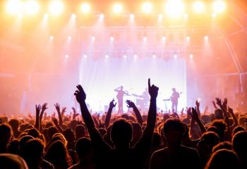 The crowd at a concert.