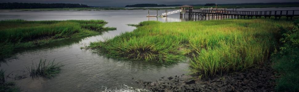 Lowcountry storm