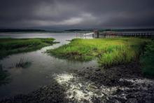 Lowcountry storm 